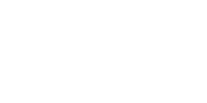 ROA SYSTEM